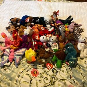 Teenie Beanie Babies Set